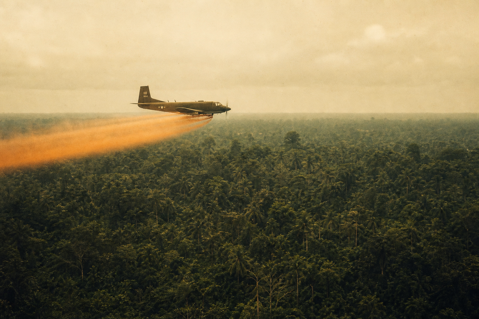 Archival imagery representing Vietnam War Exposures service
